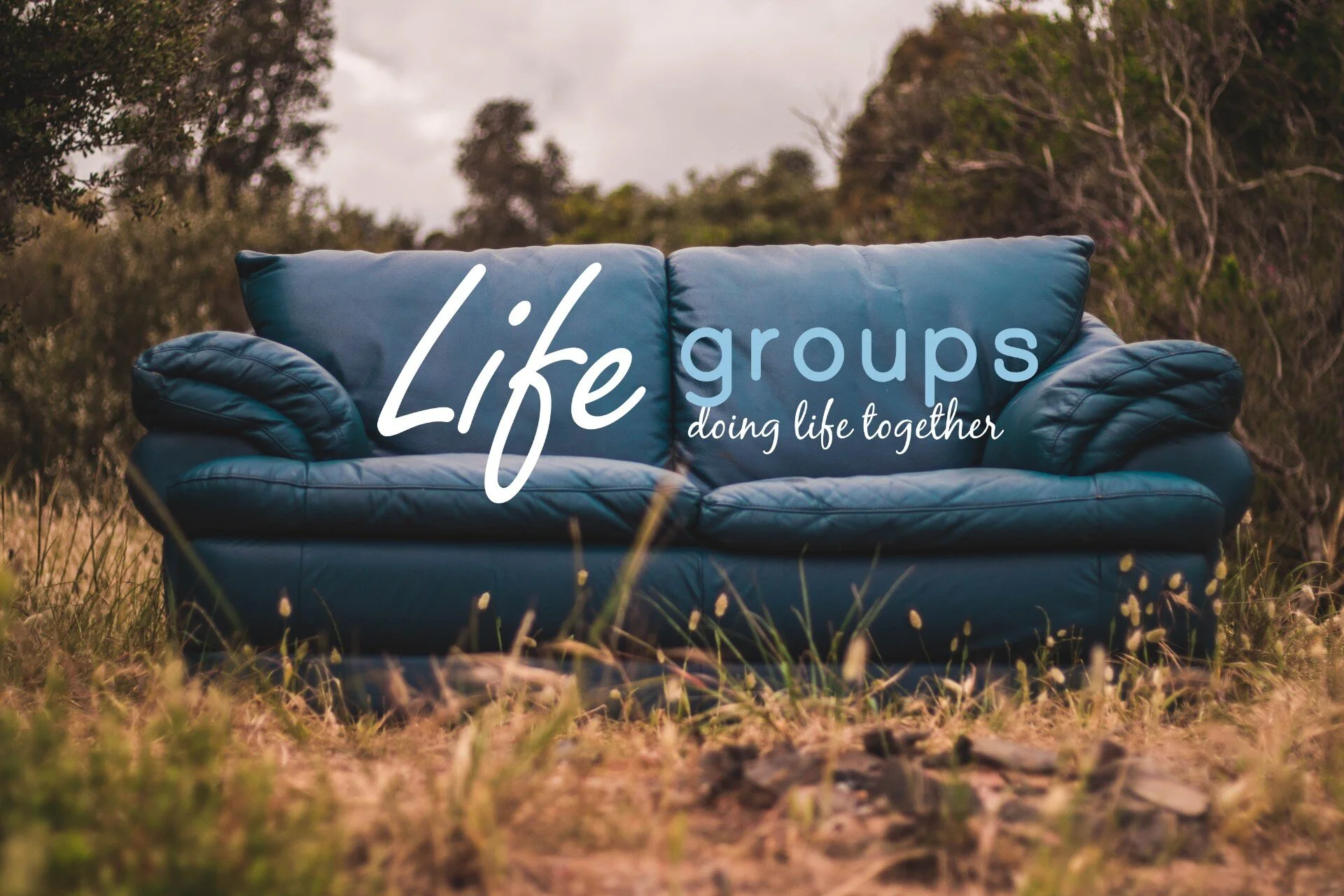 Lifegroups