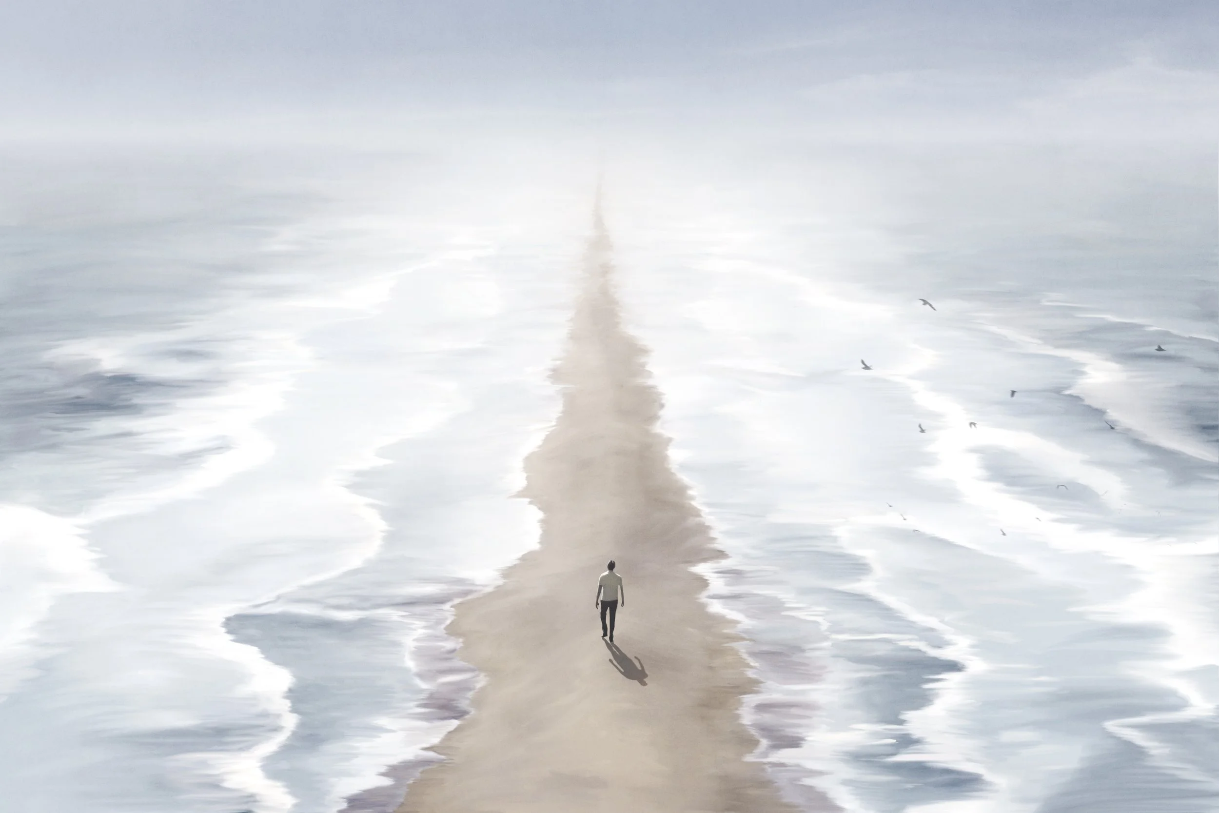 Blank series graphic.jpg