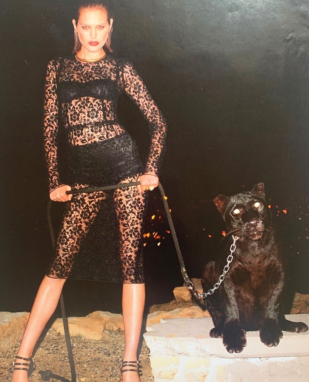 #roar