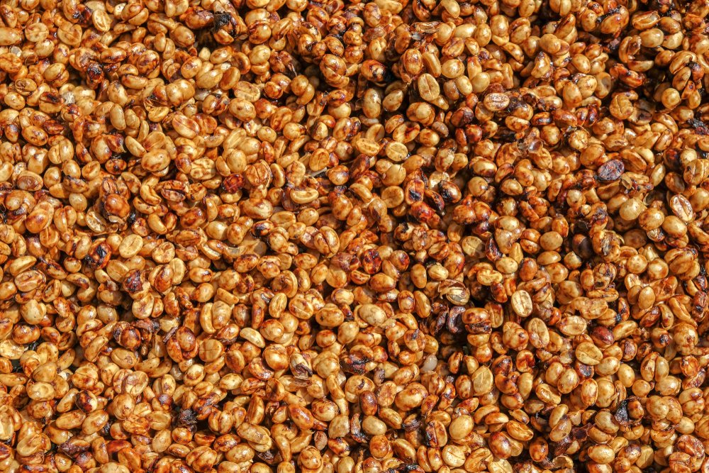 Honey Process (Pulp-Dried)