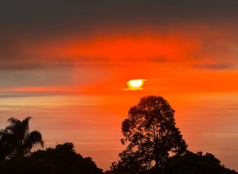 Kona Sunset at Aloha Star 100% Kona Coffee Farm.png