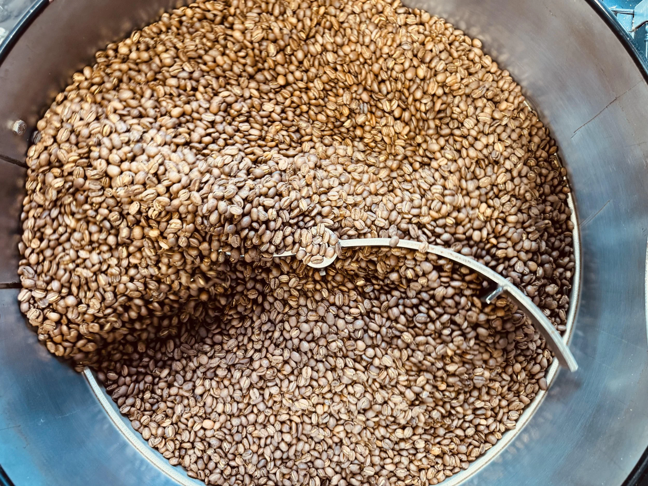 Coffee Cooling at Aloha Star 100% Kona Coffee Farm.jpg
