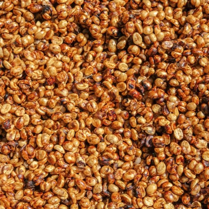 1025956681+HONEY+parchment.jpg