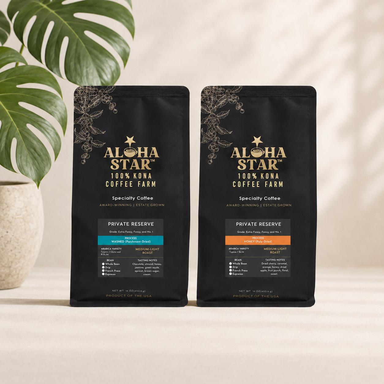 ASC_1 Pound Duo Wsh + Honey Med-Light cream+monstera bkg.png