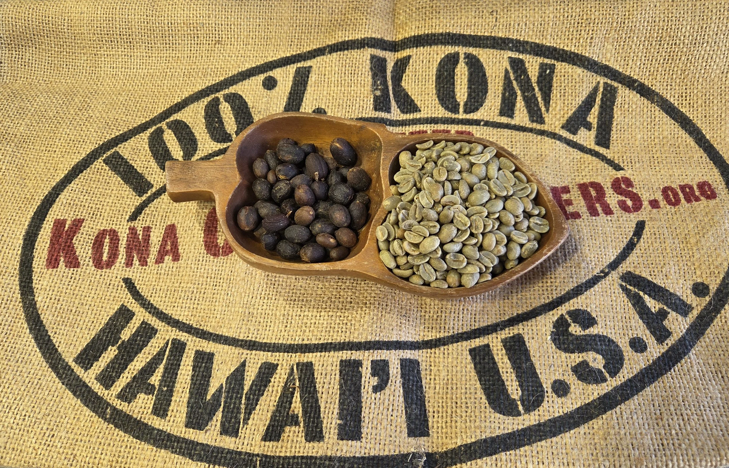 Aloha Star Coffee 100%Kona Gesha green Coffee - Natural Process.jpg