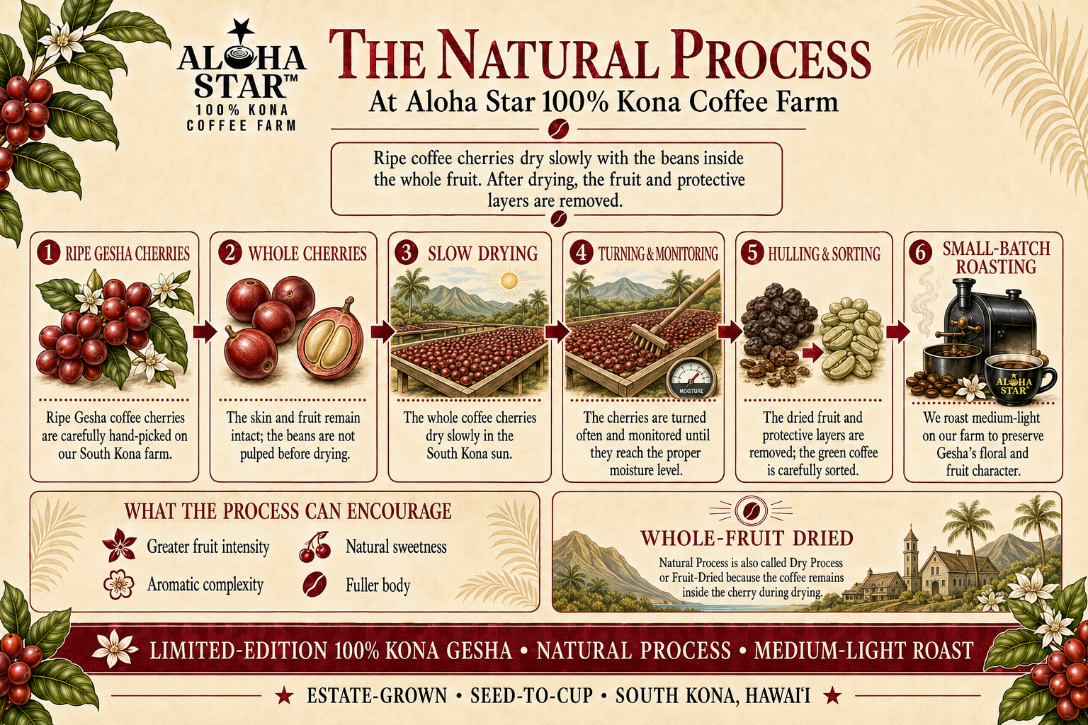 Aloha-Star Coffee-NATURAL Process-Infographic-Landscape.png