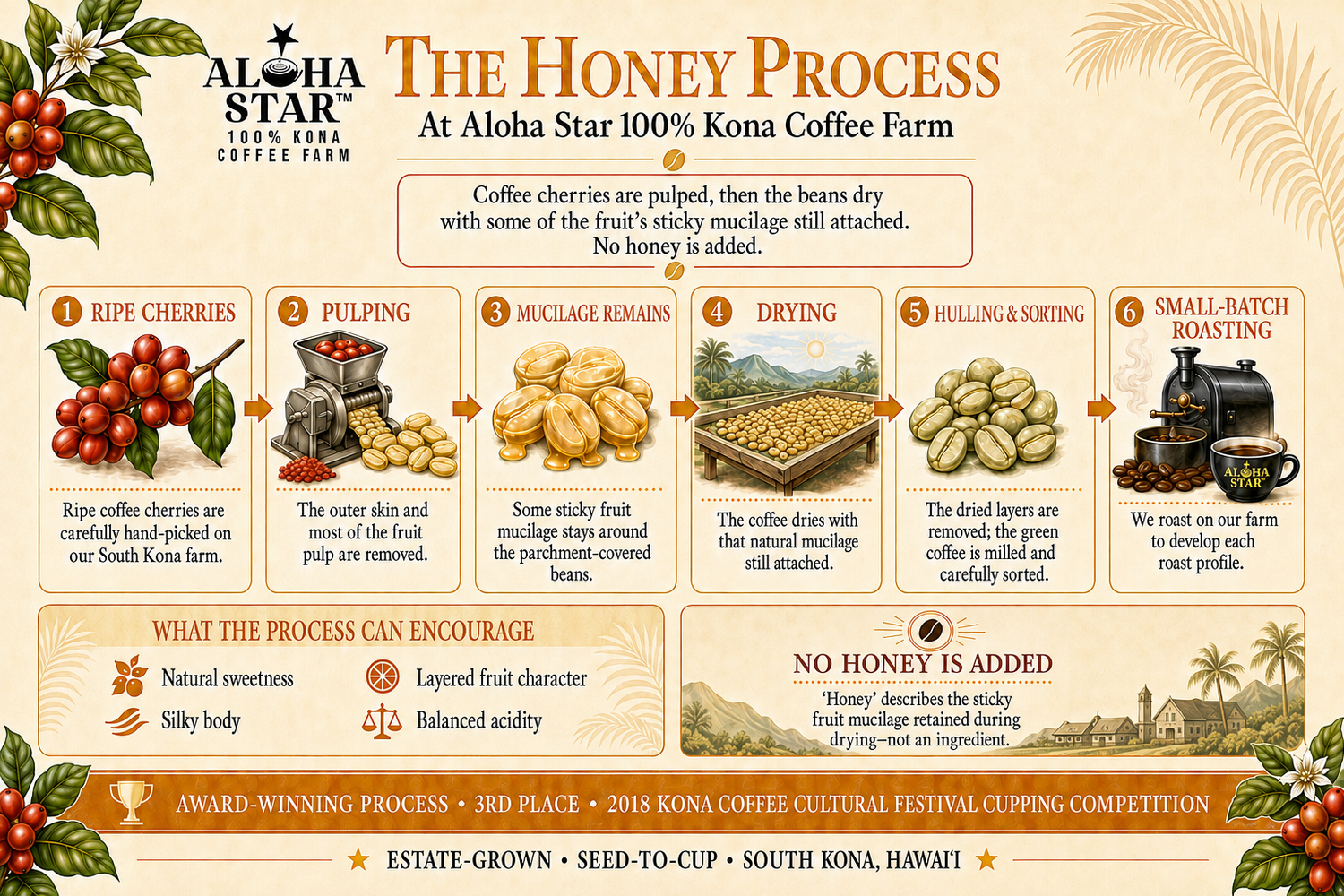 100% Kona Coffee – Honey Process Dark Roast | Aloha Star Coffee