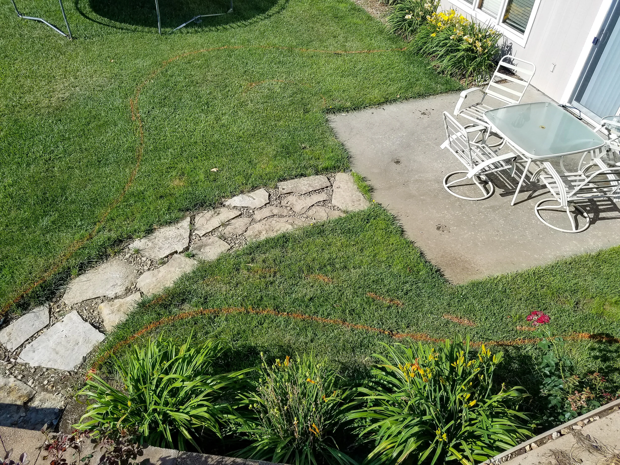 20170622_091010.jpg