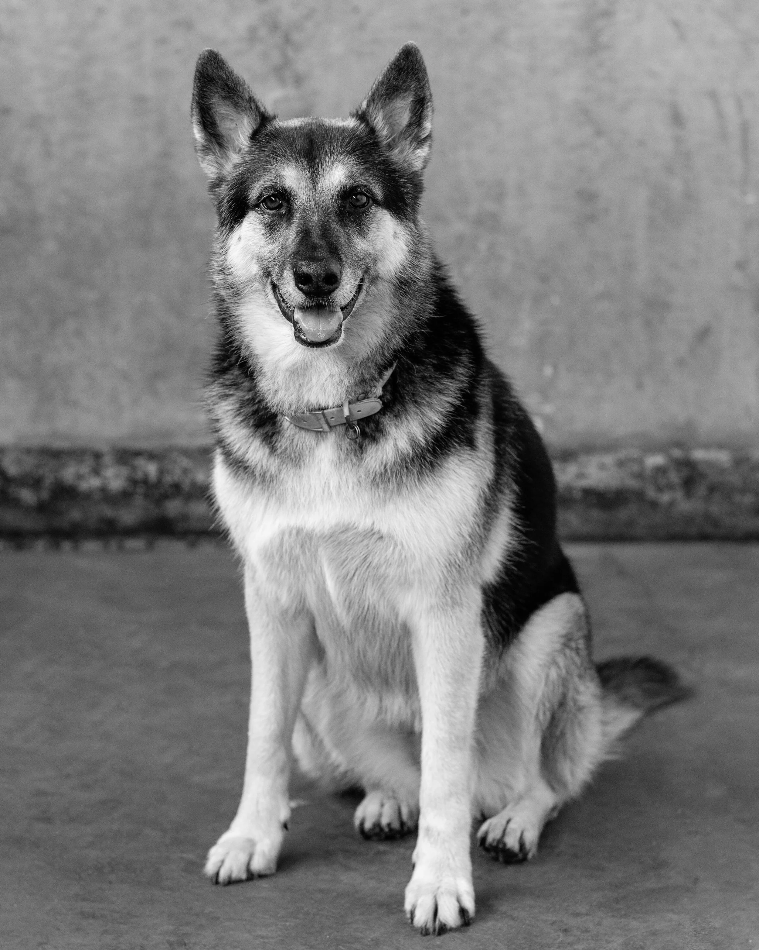 Amber-B&W.jpg