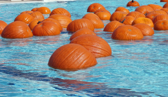 How To Set Up A Floating Pumpkin Patch At Your Swimming Pool