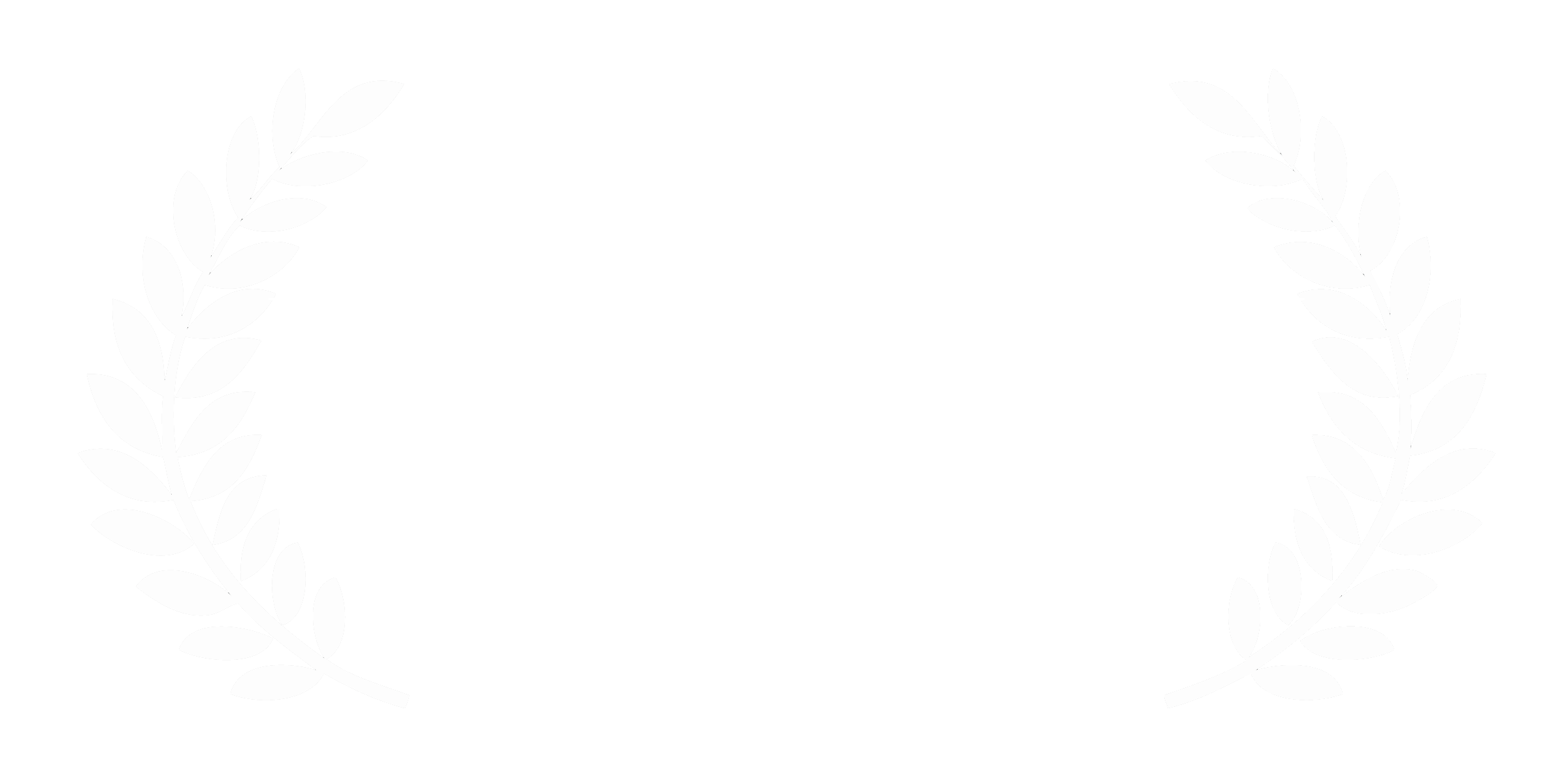MFF_DocFeature_2025_transparent_white.png