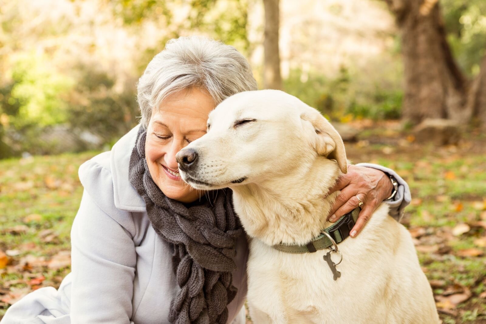 good dogs for seniors