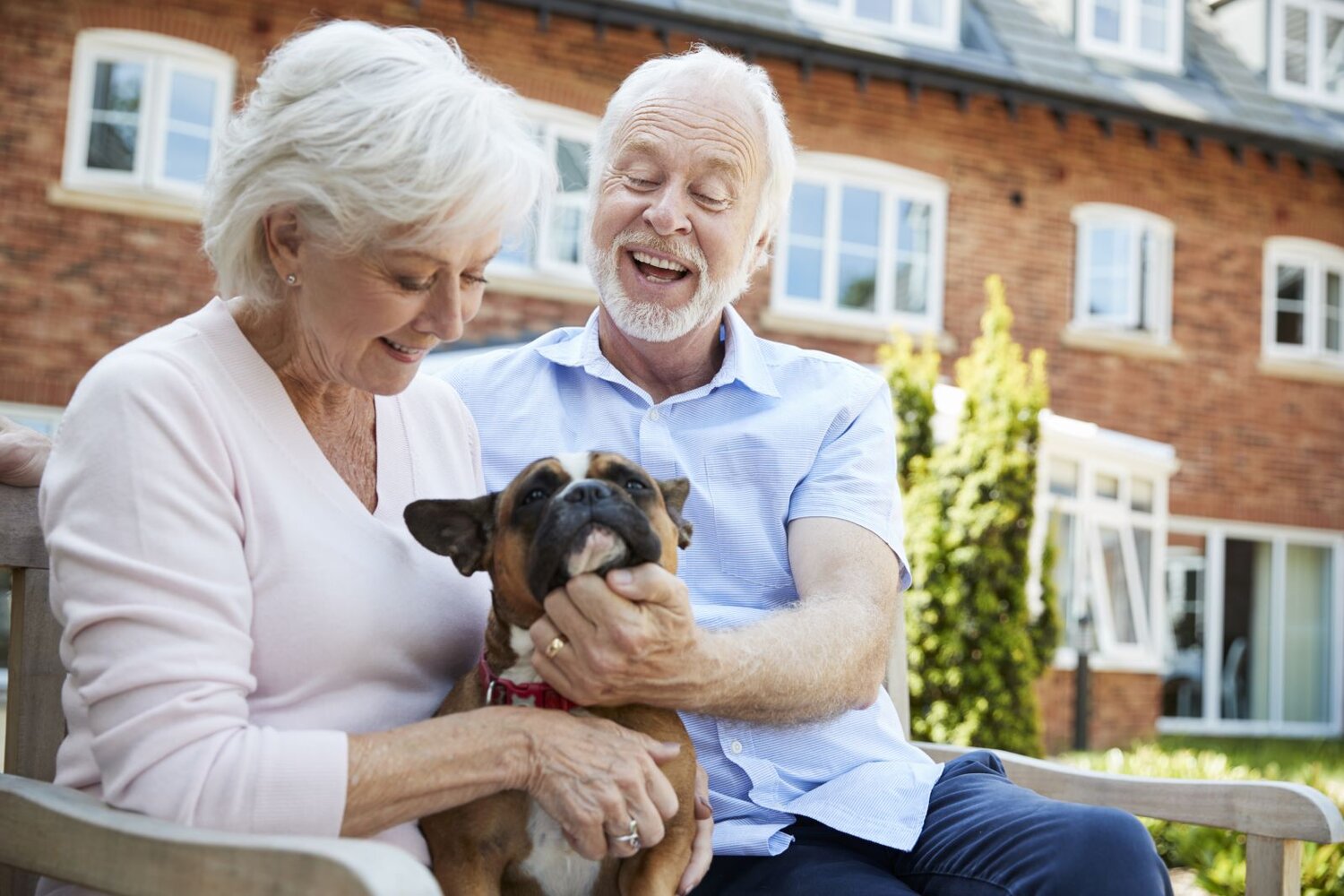 Senior couple smiling and petting French bulldog on a park bench
