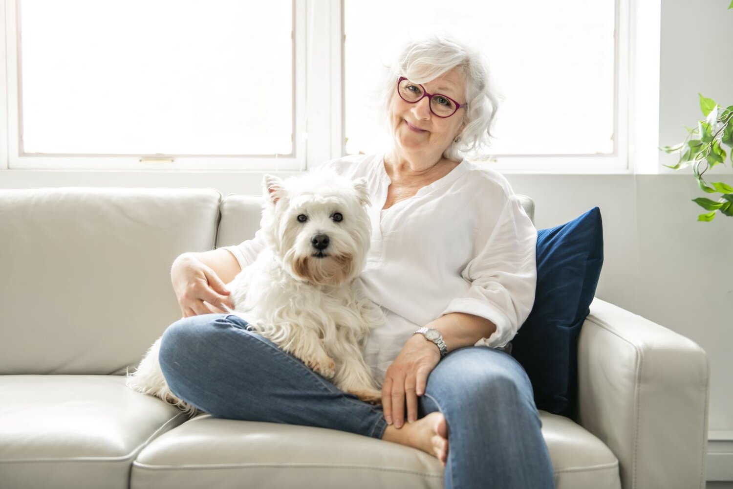 Best dogs for seniors: Retired senior woman sitting on her couch with her therapy dog