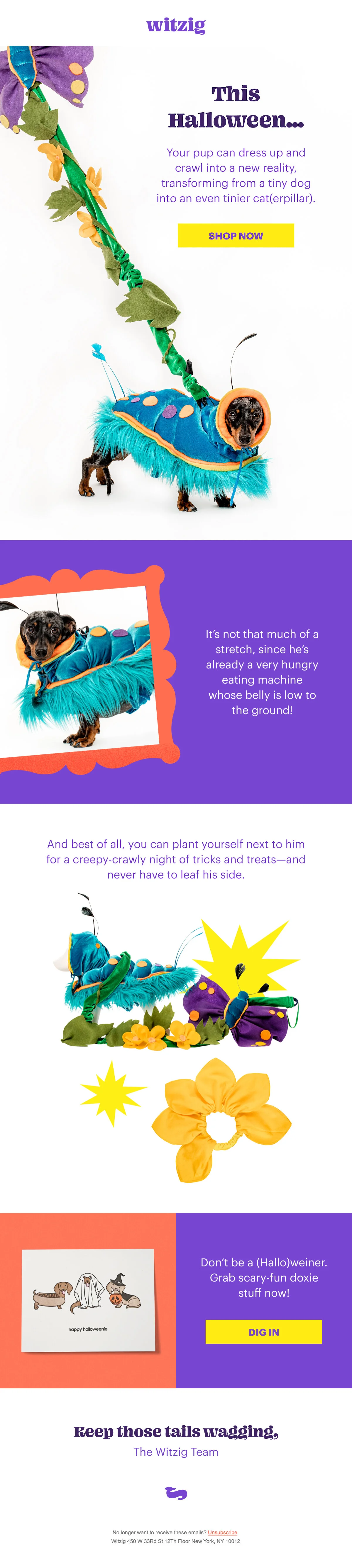 witzig caterpillar.jpg