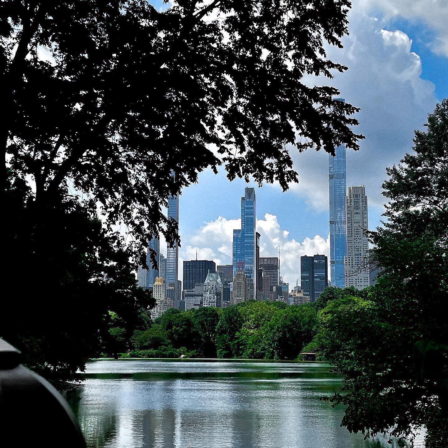 🌳 Swipe for my new life&rsquo;s mantra, courtesy of Central Park.
