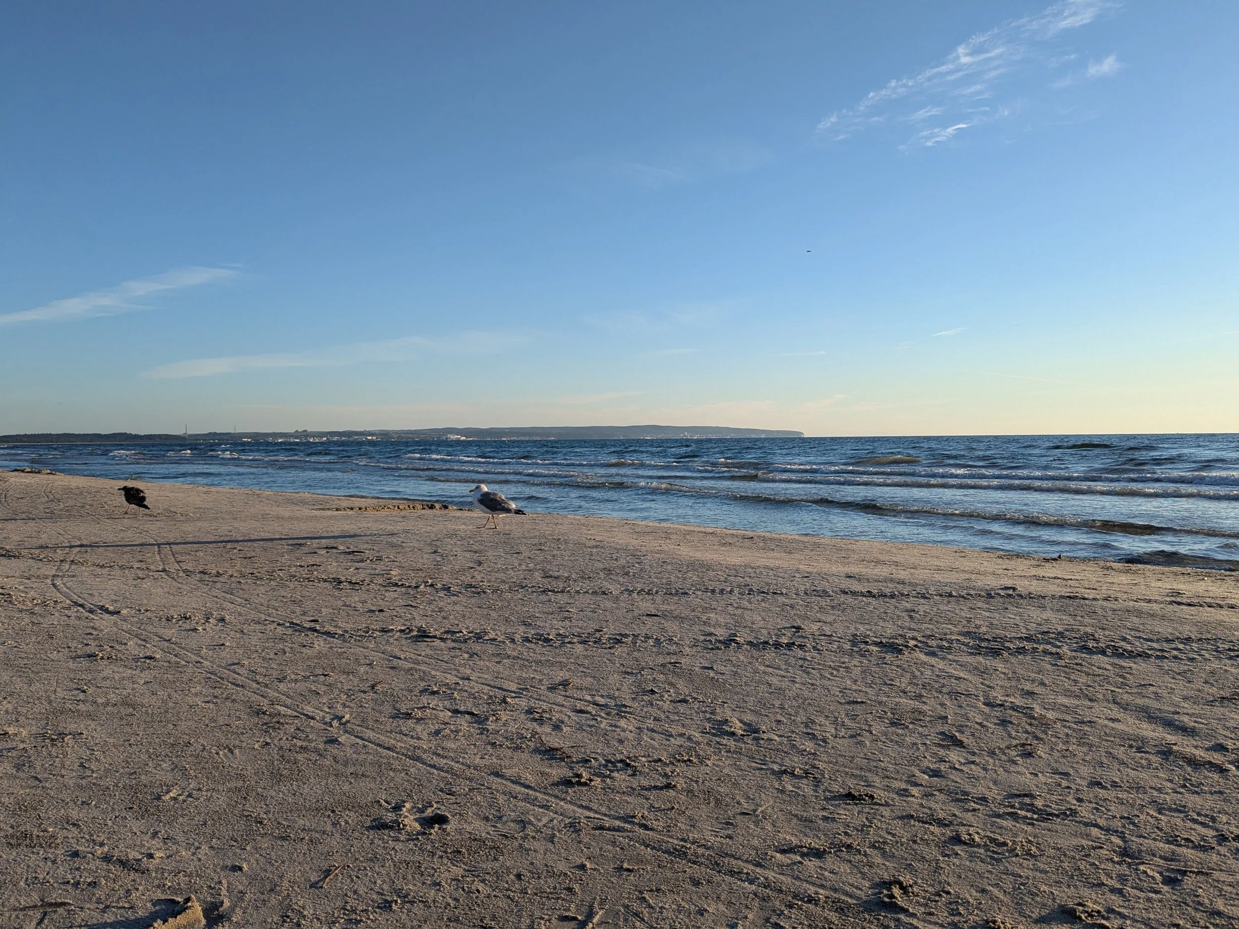 ACHTUNG: ZOOM ONLY - aus Binz, Insel Rügen +++
