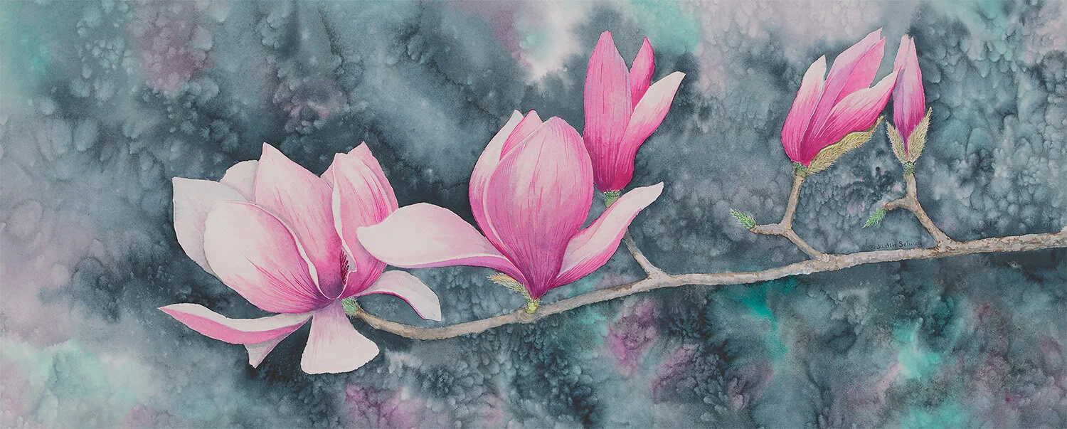 © 2017 Justin Selway,Spring on Wildwood, All rights reserved, Not for reproduction, 