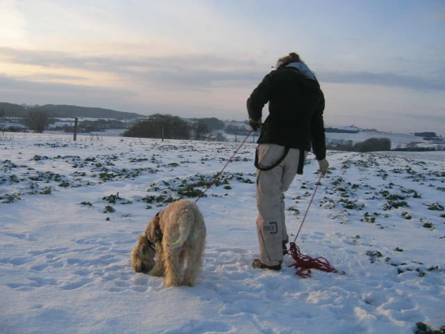 Emma til sportræning
