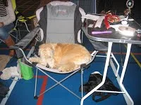 Afslapning inden afsluttende konkurrence i Store Ring