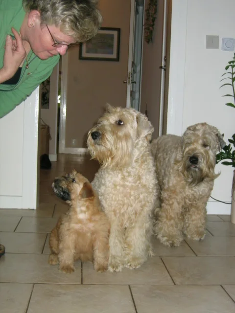 Emma med sin mor Nelly og tante Roxanne inden hun forlader Sverige år 2008