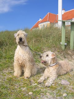 Viva og Emma i Skagen