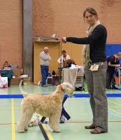 Billund, Skue i DKK kreds 5, efterår 2008.