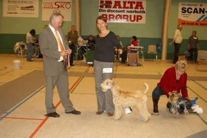 Brørup, Skue DKK kreds 4, 23. november 2008