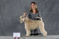 Fredericia, DKK International Udstilling, den 15. februar 2009