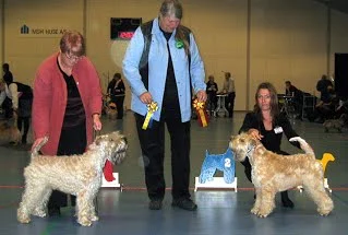 Hedensted, DTK, 21. november 2009 - EMMA DANSK CHAMPION