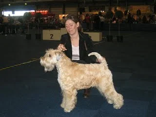 Fribourg, International Udstilling i Schweiz, den 27. februar 2010