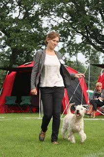 Viva's debut i udstillingsringen - DKK International Udstilling i Vejen den 14. august 2010