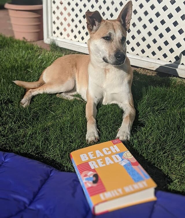 We've got this stay home thing figured out- all you need is your four footed friend, your @gorumpl and a Beach Read ☀️