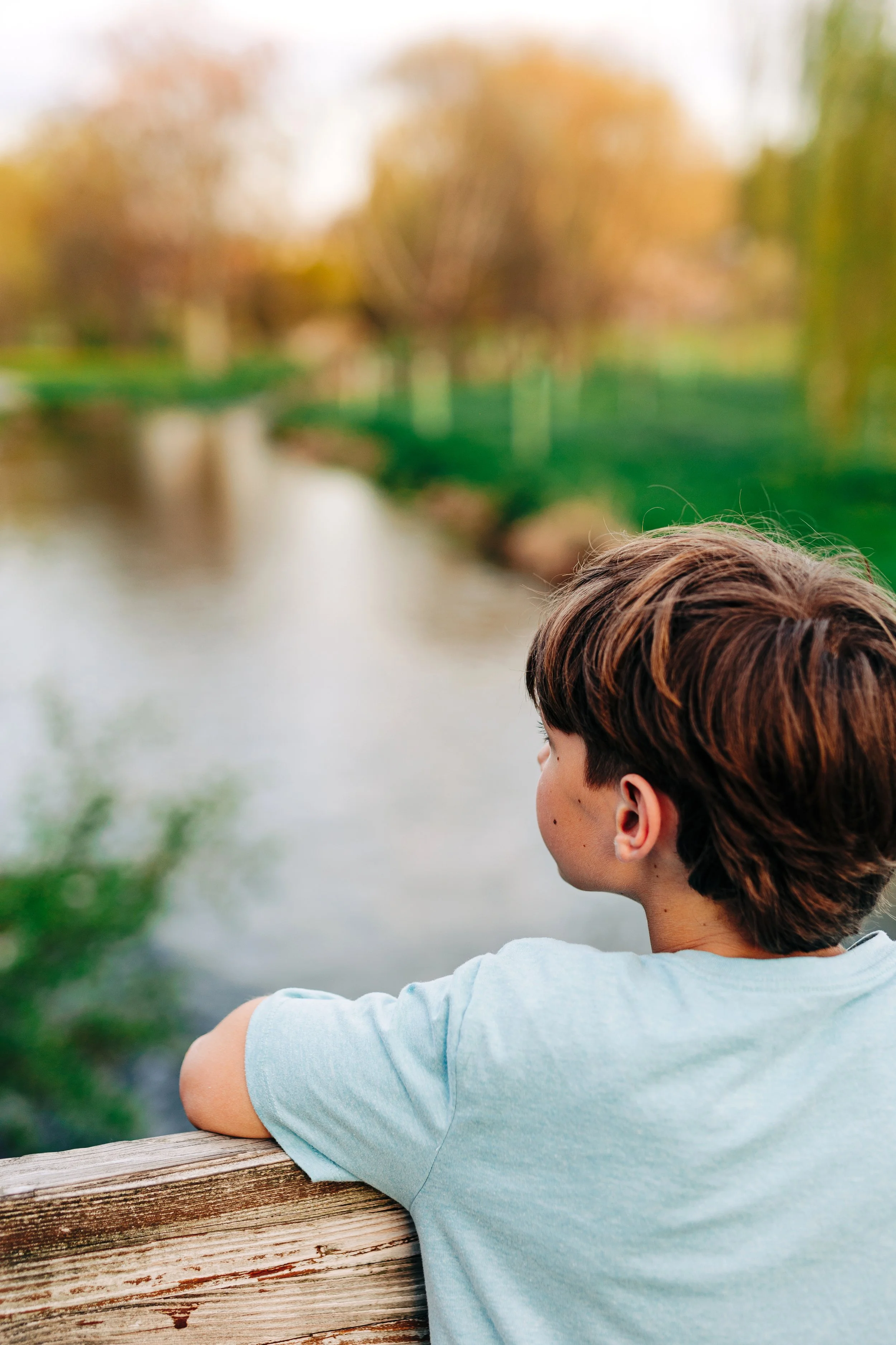 Looking over the water at the Rose Garden