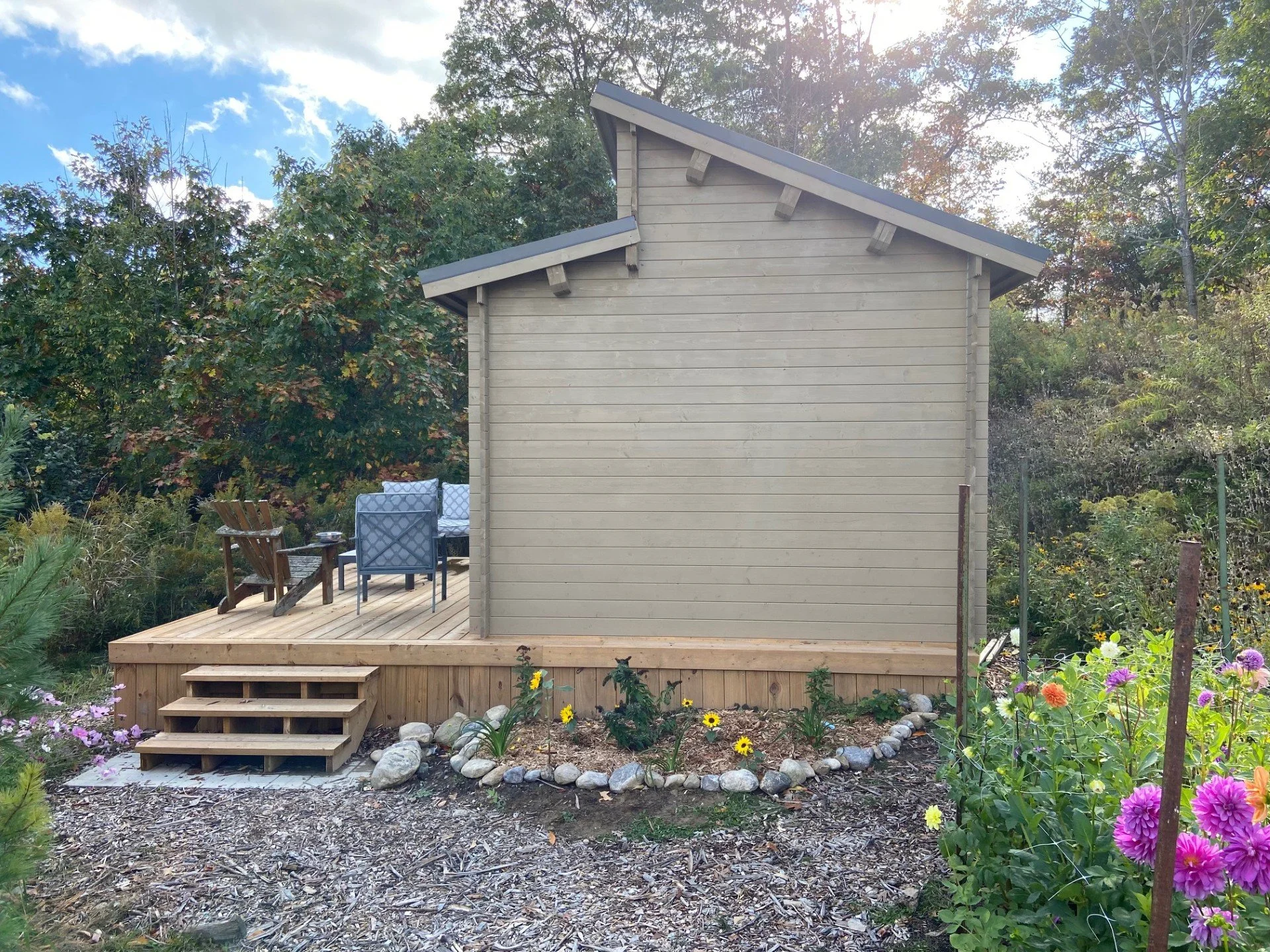 bunkie3.jpg