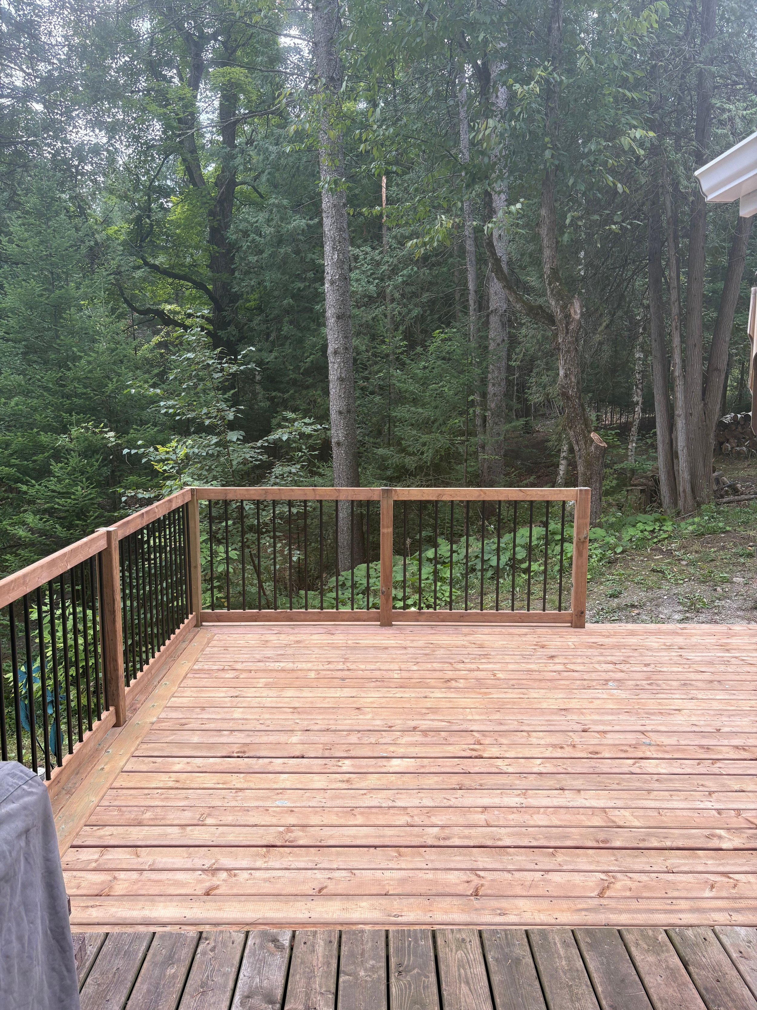 Untitled design-15.jpg