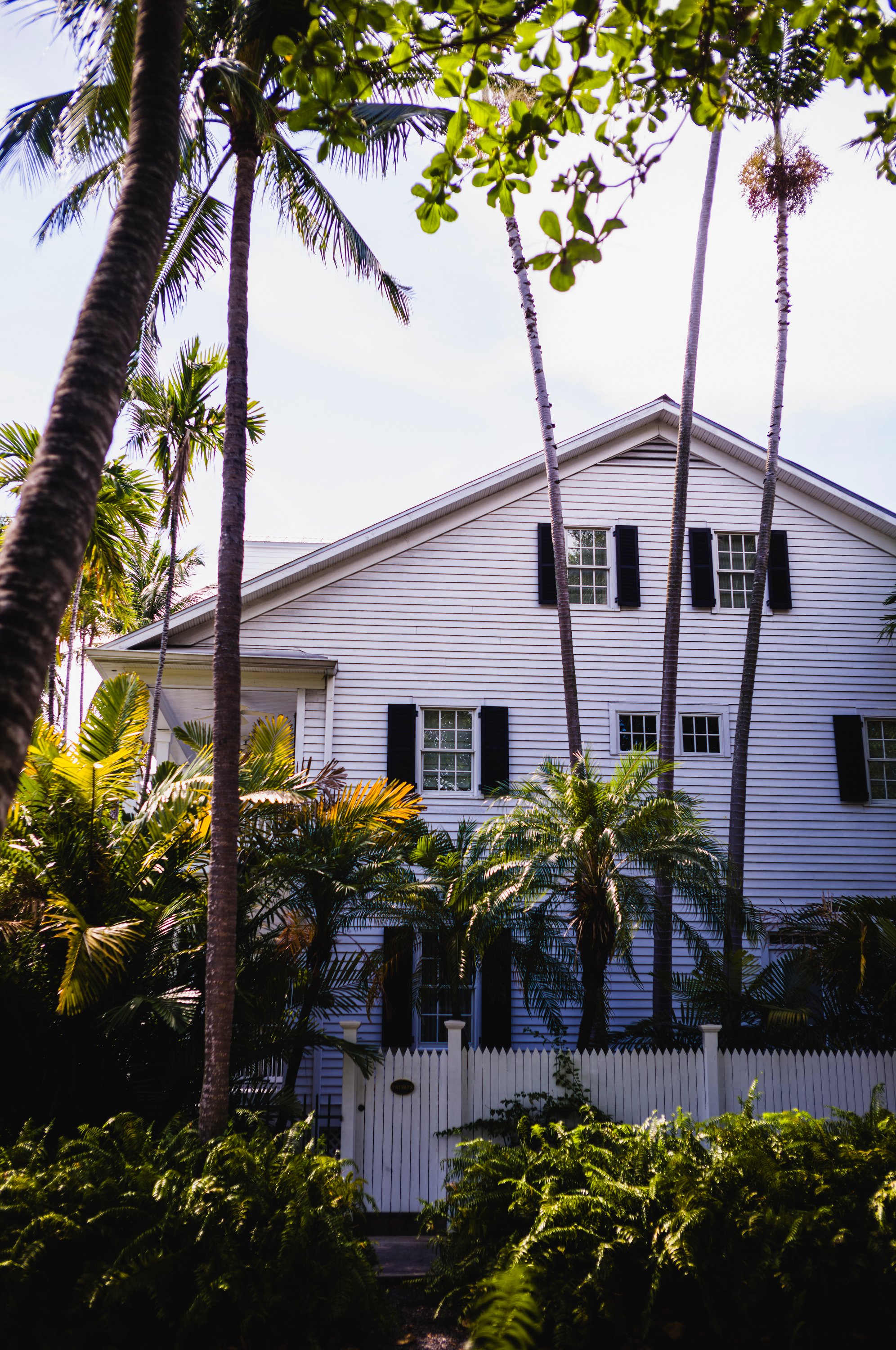 240831_FLKEYS_M11_0158 copy.JPG