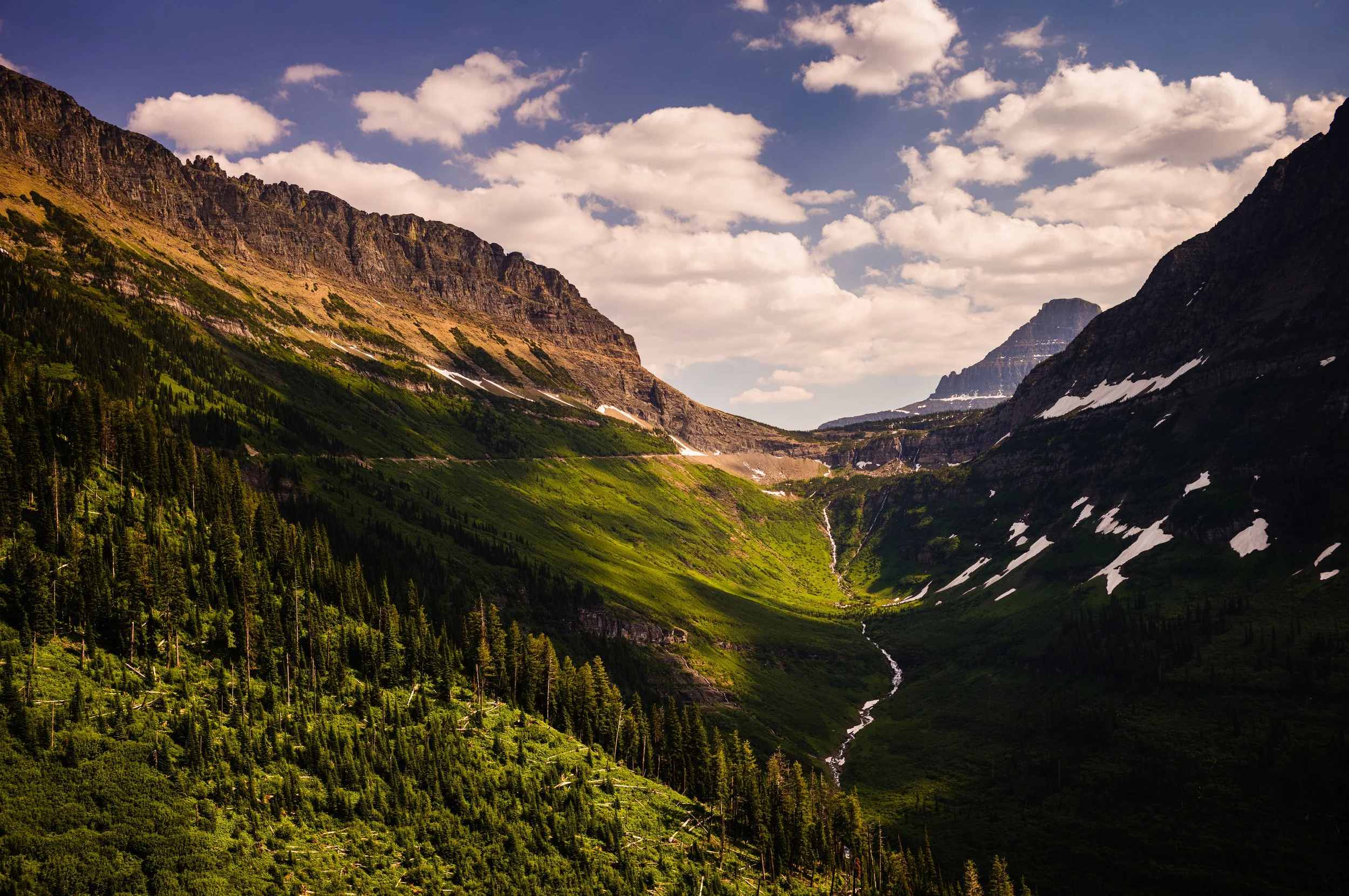 240706_Montana_Glacier24_DHM11_0499 copy.JPG