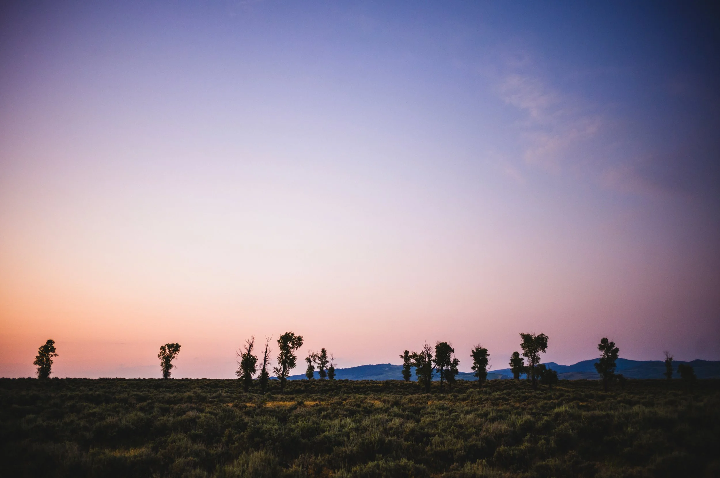 240713_GlacierNP_DHM11_0014 copy.JPG