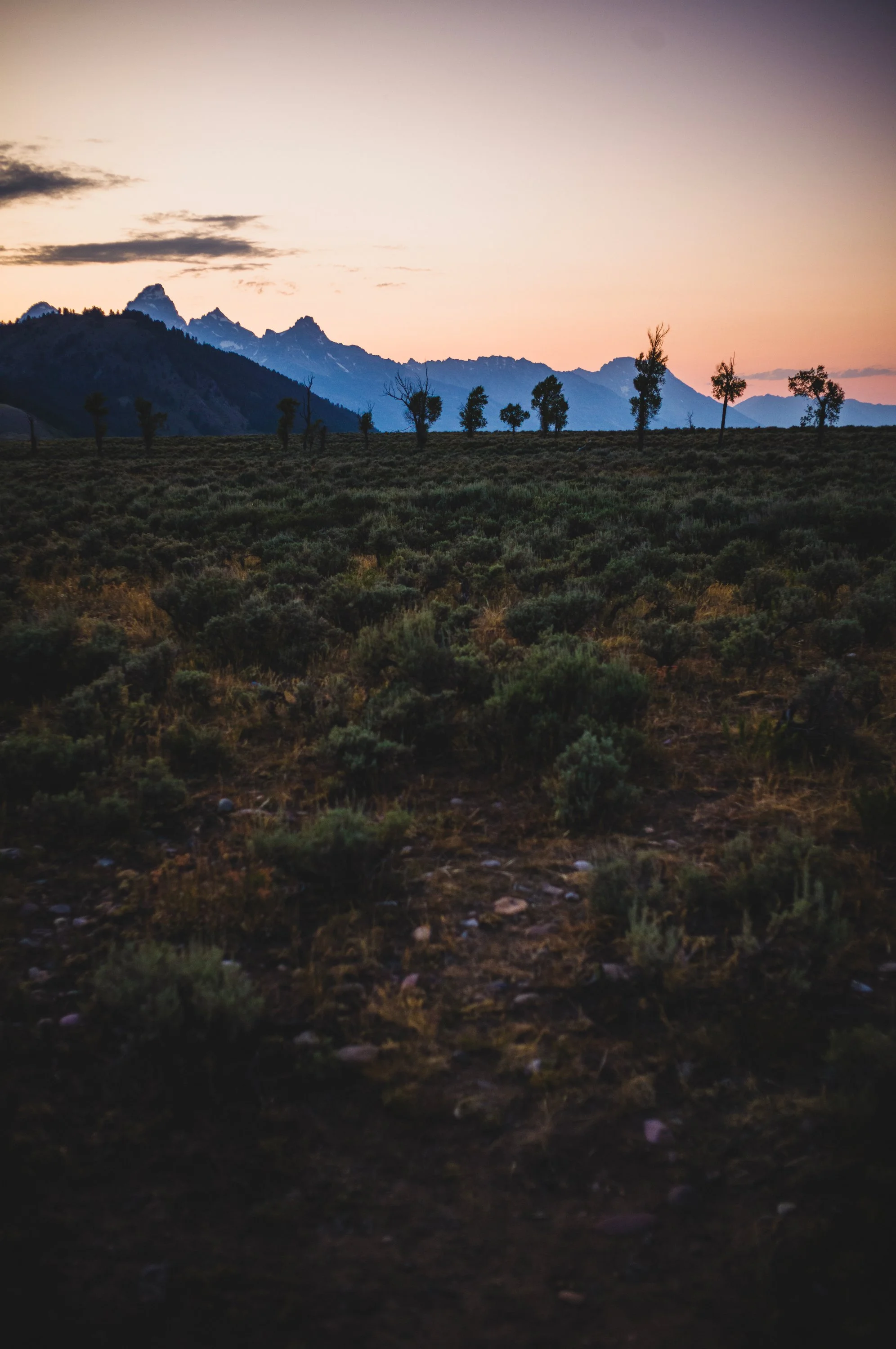 240713_GlacierNP_DHM11_0005 copy.JPG
