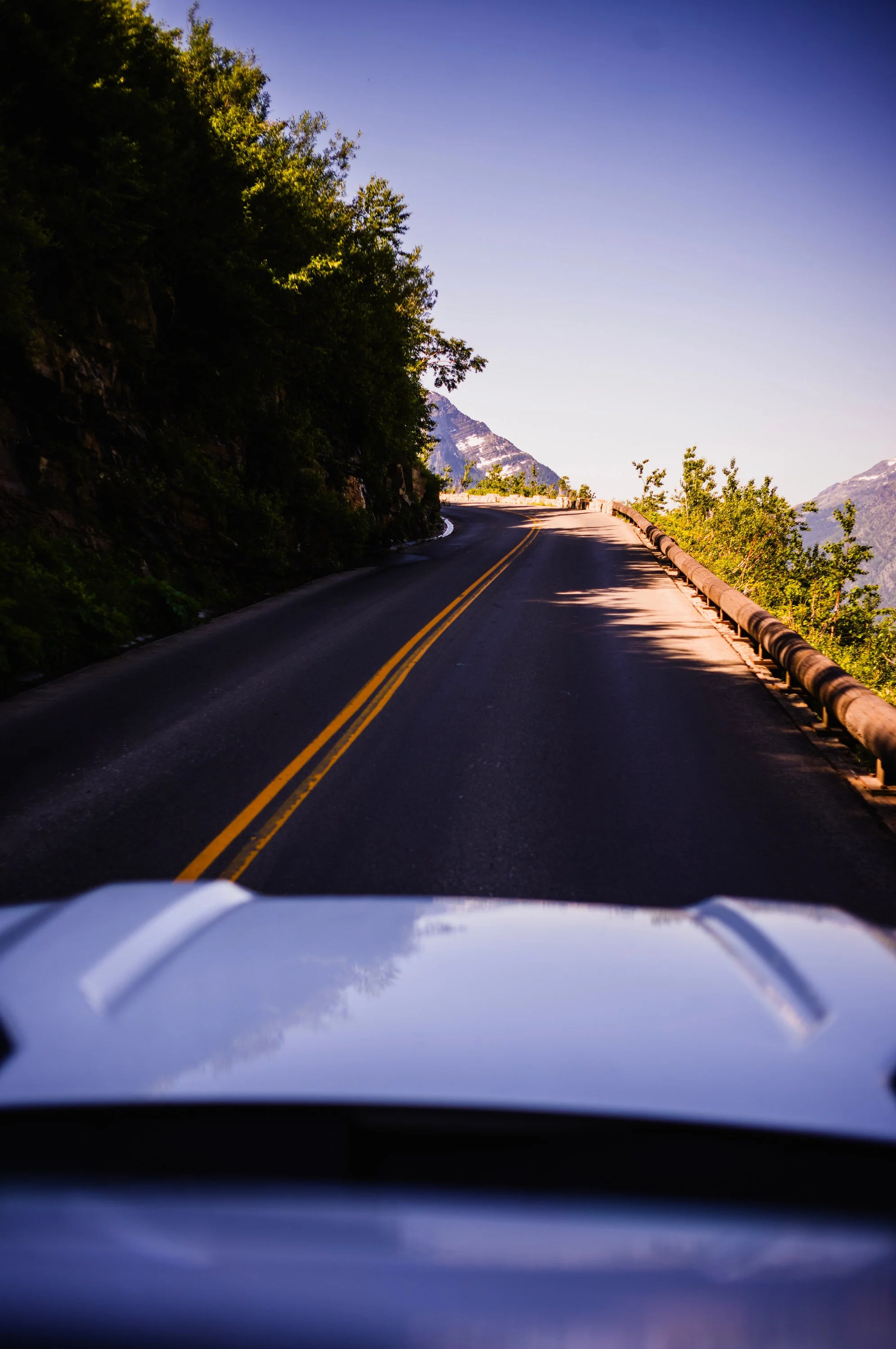 240706_Montana_Glacier24_DHM11_0375 copy.JPG