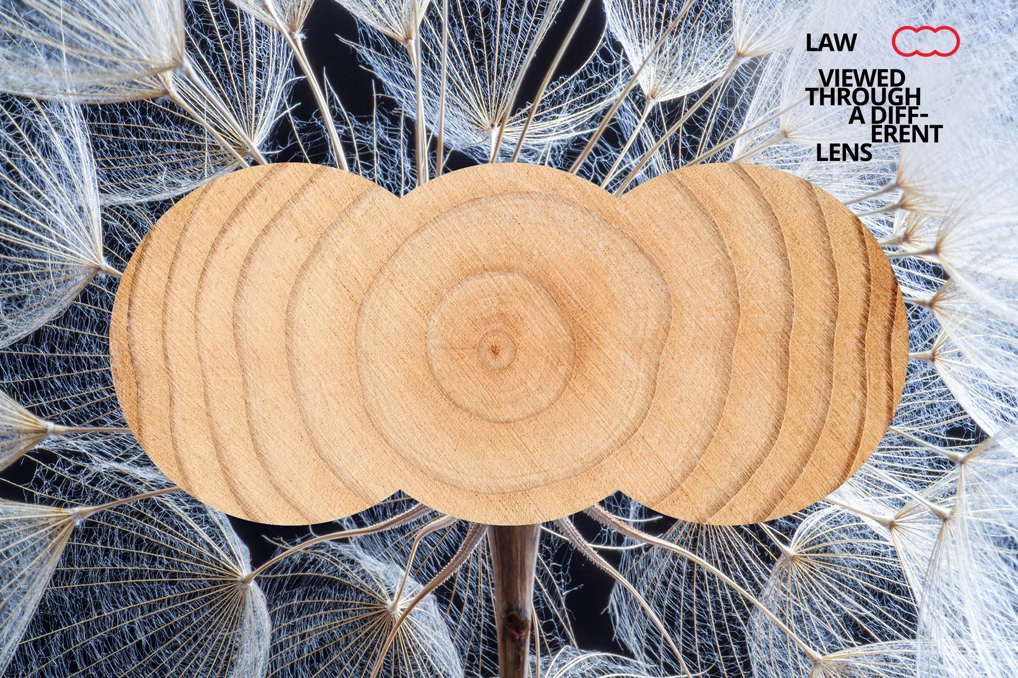 93800-SHBD-New Website-KKI-Trust Disputes copy.jpg