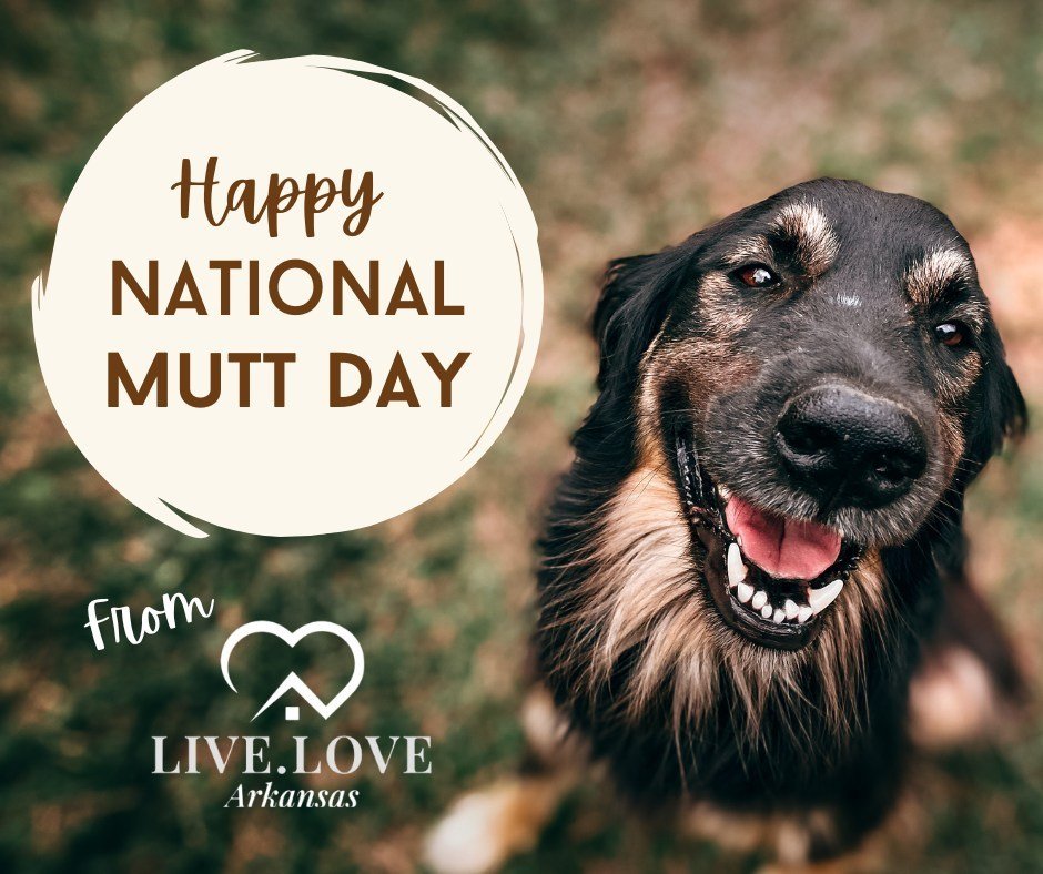 🐾 Happy National Mutt Day! 🐶

At Live Love Arkansas Realty, we know that our four-legged friends make a house feel like home! Today, we're celebrating all the lovable mutts that bring joy, laughter, and unconditional love into our lives. ❤️

We wan