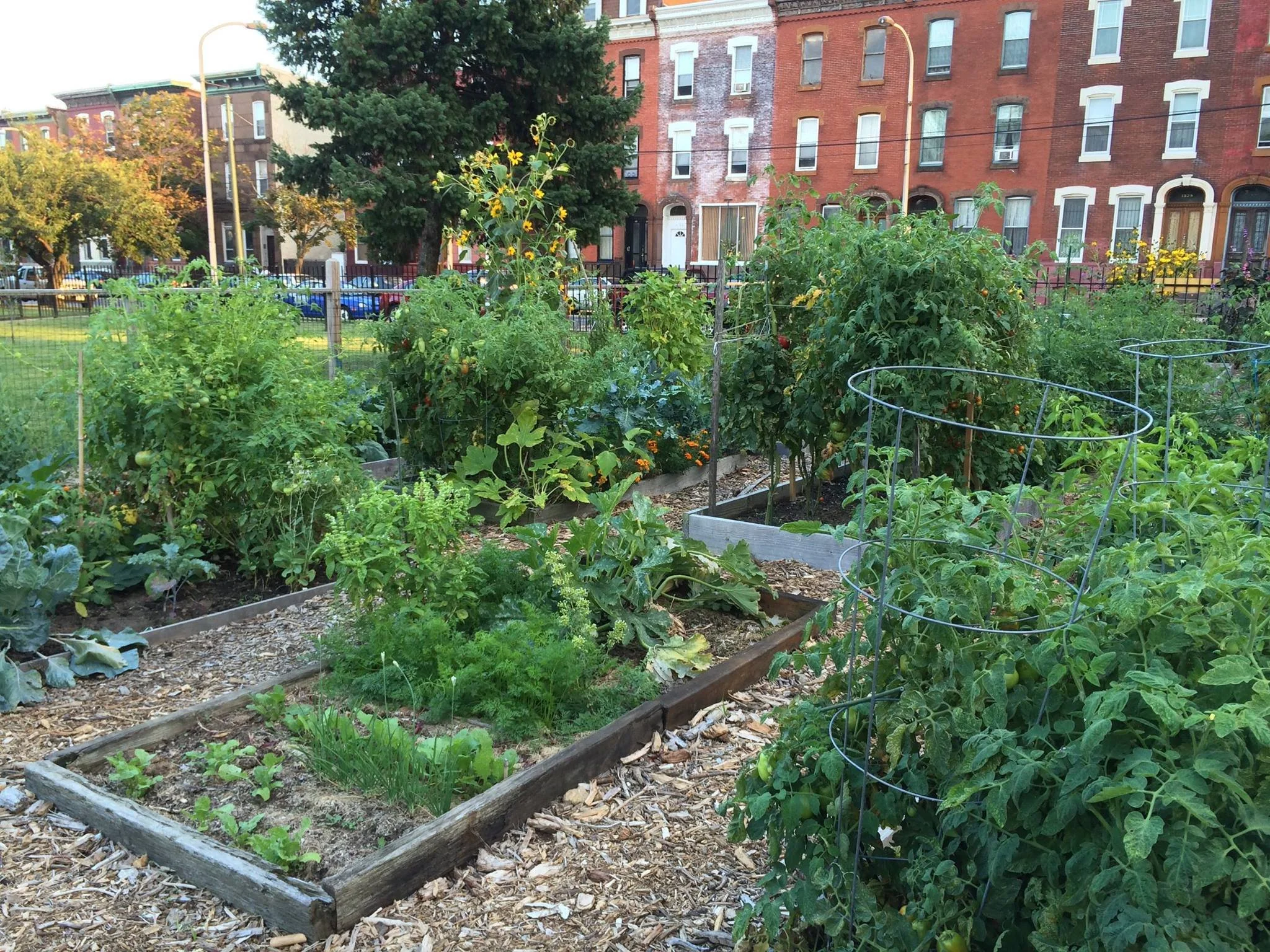 Our Guide to the Best Community Gardens in Philadelphia — Real Estate
