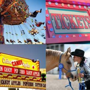 Blue Ribbons, Ferris Wheels & Cotton Candy: Must-Visit DMV County Fairs 🎡