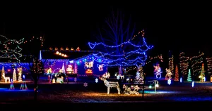 Light Up Your Holidays: Must-See Winter Light Displays Across the DMV