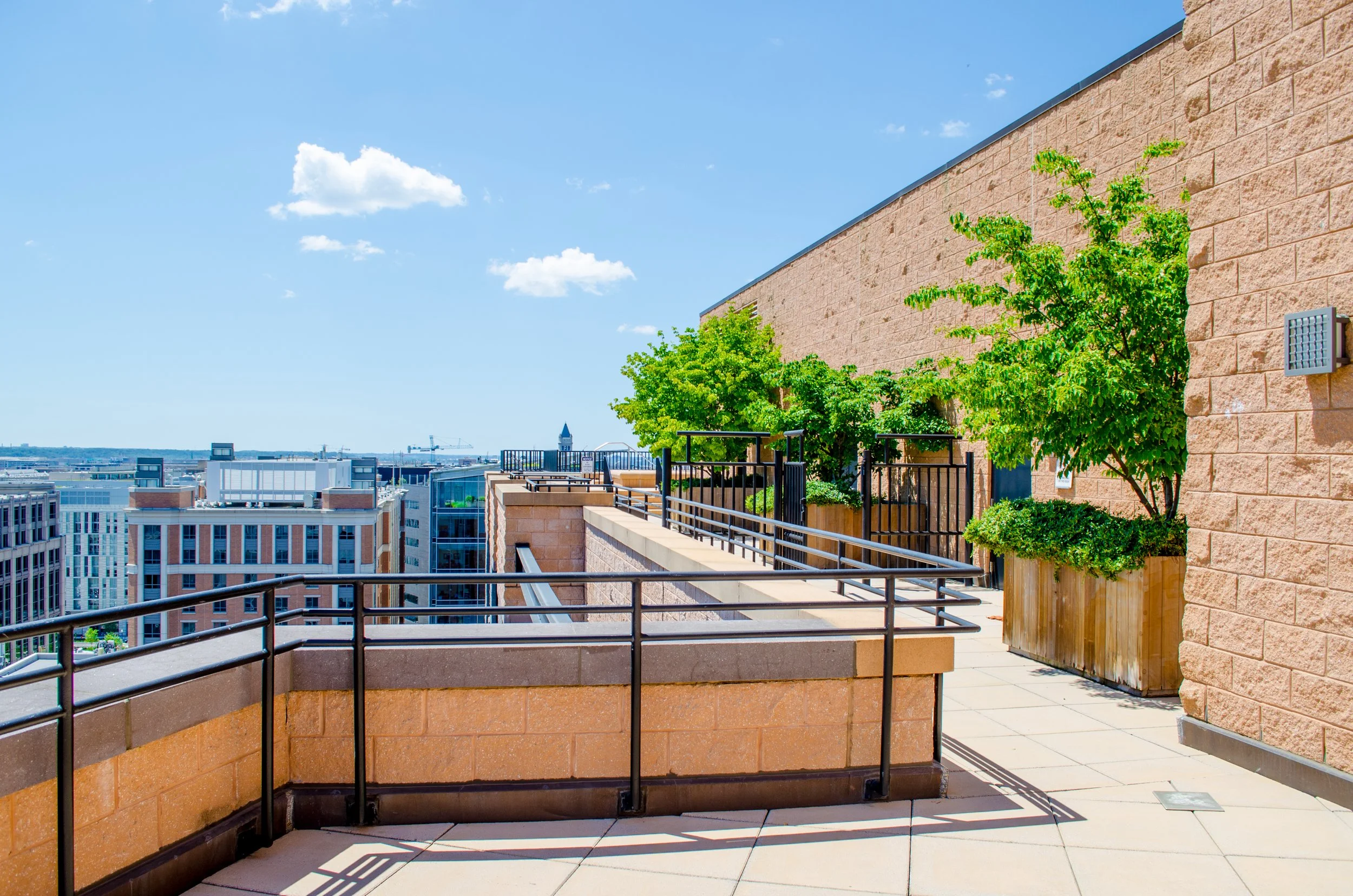 1010-massachusetts-ave-condo-1.jpg