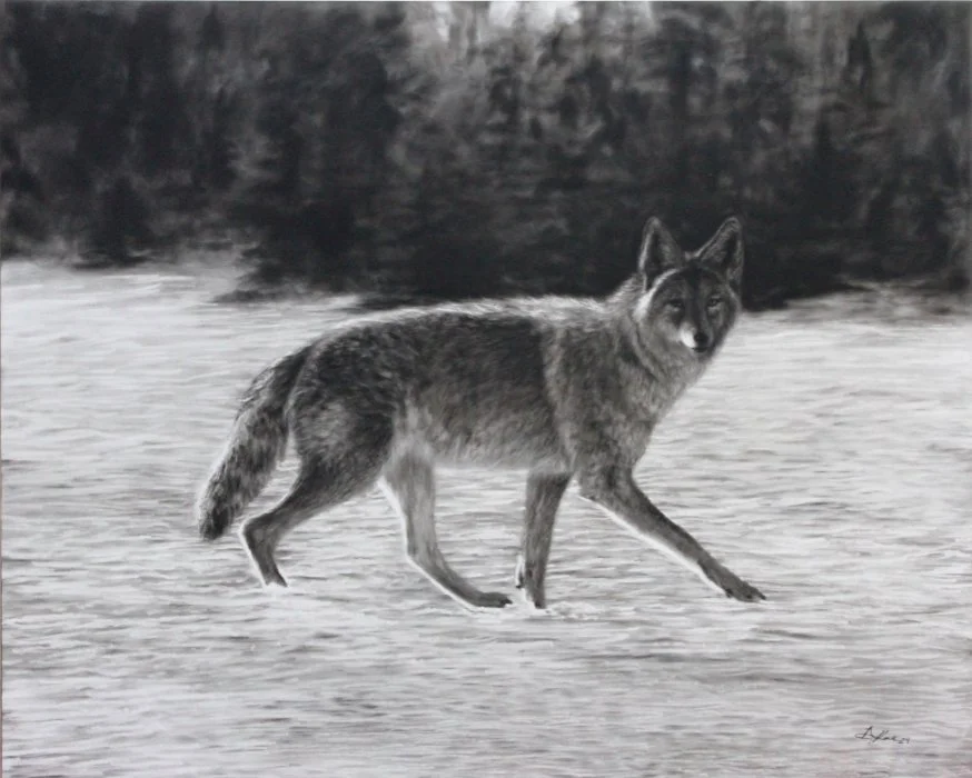 Amber Scally - Till We Meet Again.jpg