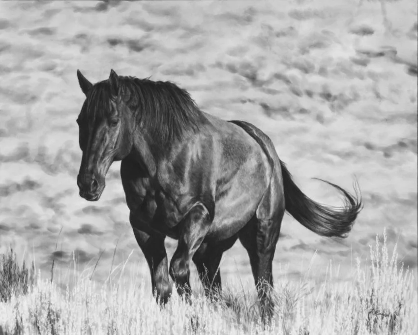 Amber Scally - Capall Trean.jpg