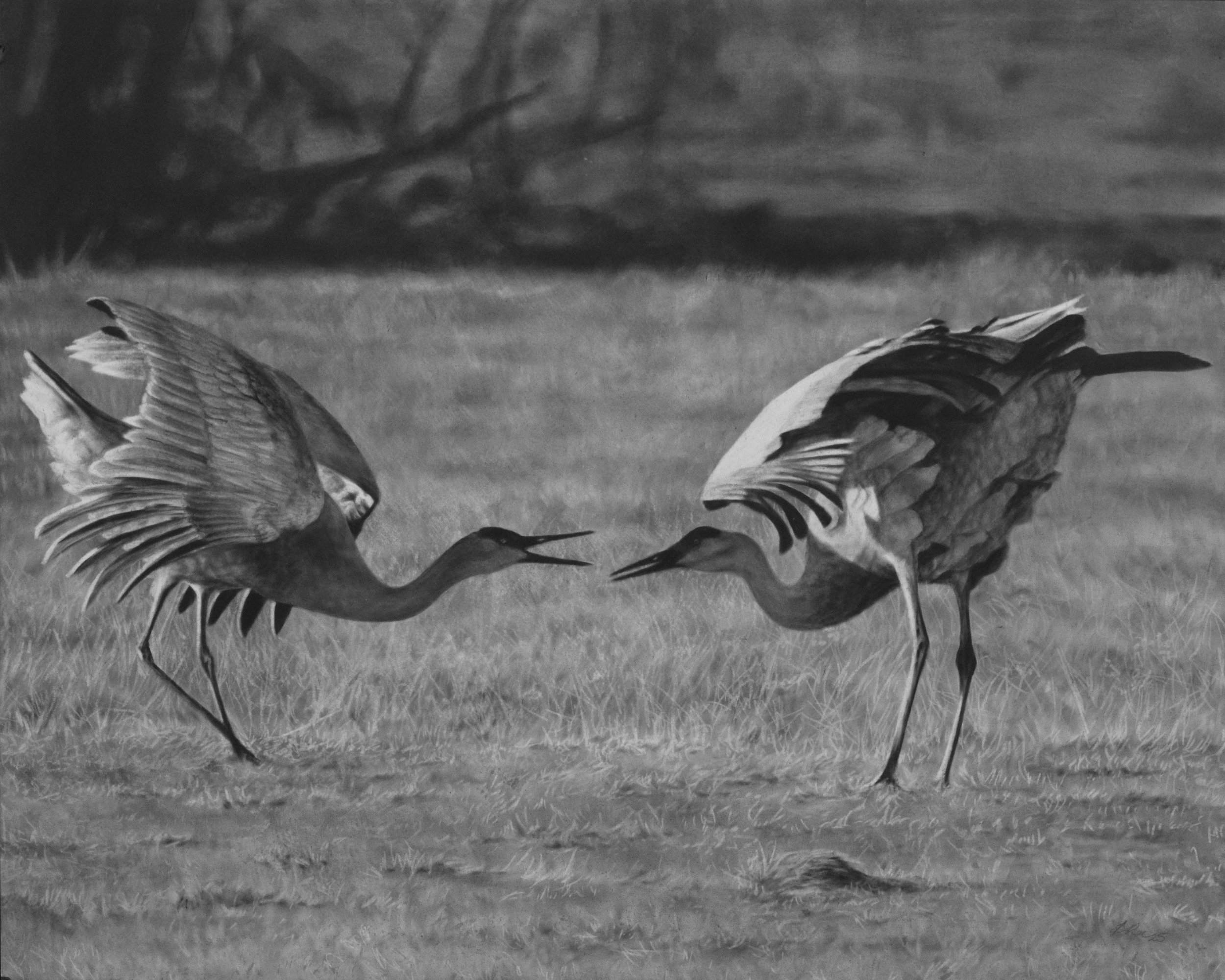 Scally_The Eternal Dance.jpg